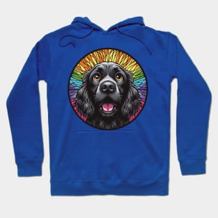 boykin spaniel confused Hoodie